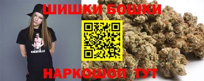 мдпв Нальчик