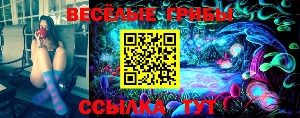 Галлюциногенные грибы Psilocybine cubensis  Вход с VPN  Углич 